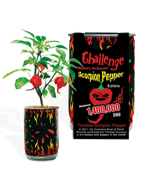 Challenge Scorpion Pepper Magic Plant - 1,400,000 SHU
