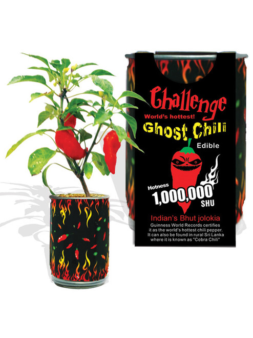Challenge Ghost Chili Magic Plant - 1,000,000 SHU